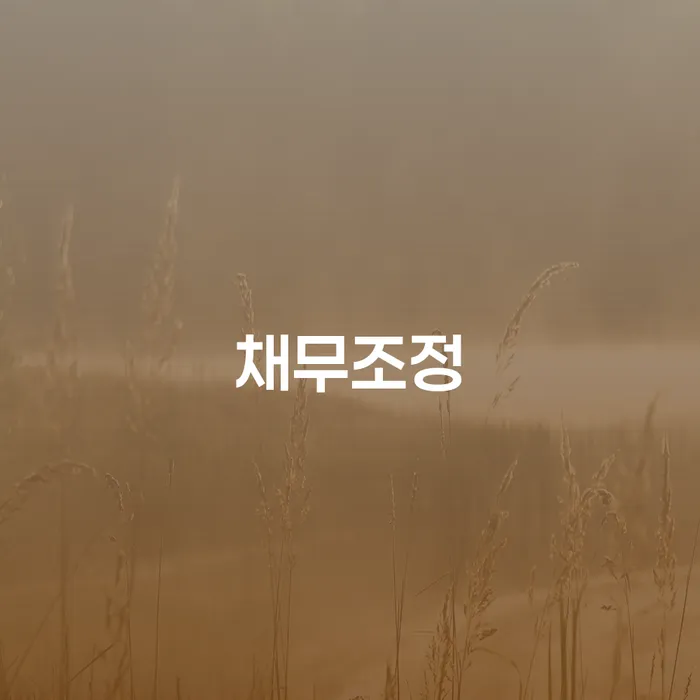 개인회생변호사비용 개인회생으로 해결방법 접수를