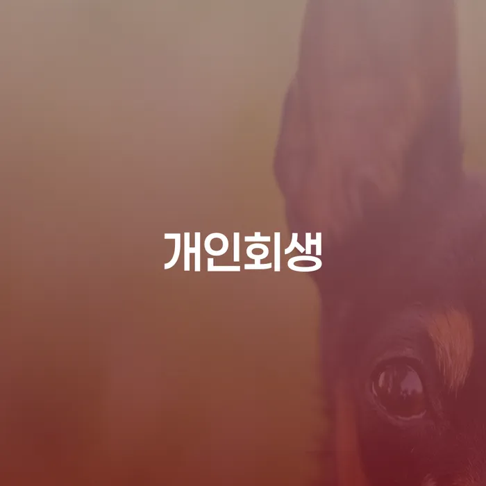 주식빚 개인회생으로 해결 핵심요약