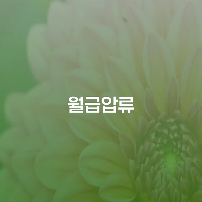 파산신청방법 빚청산 채무조정제도를 이용