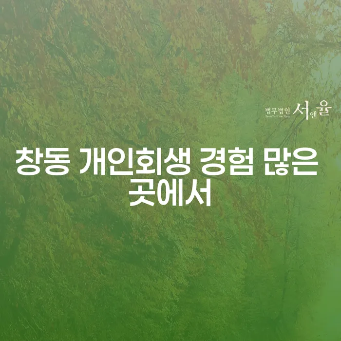 창동 개인회생 경험 많은 곳에서