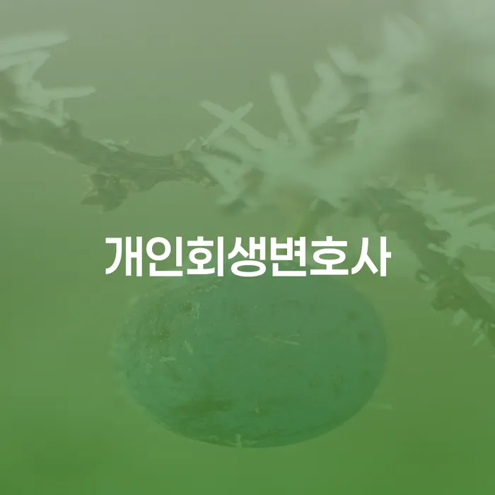 전농동 개인회생변호사: 채무 해결을 위한 첫걸음