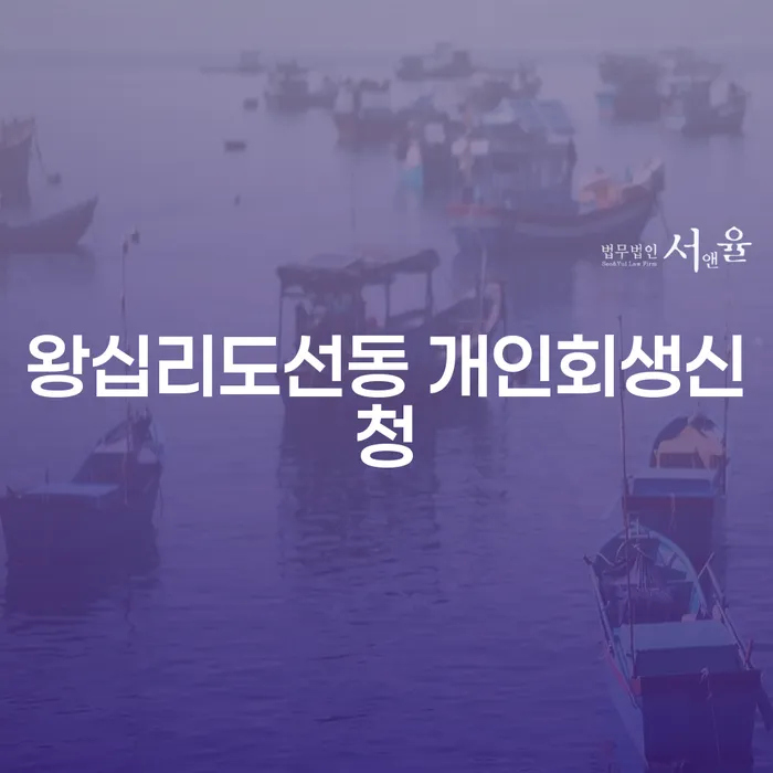 왕십리도선동 개인회생신청: 개인회생과 파산, 어떤 선택이 나에게 맞을까?