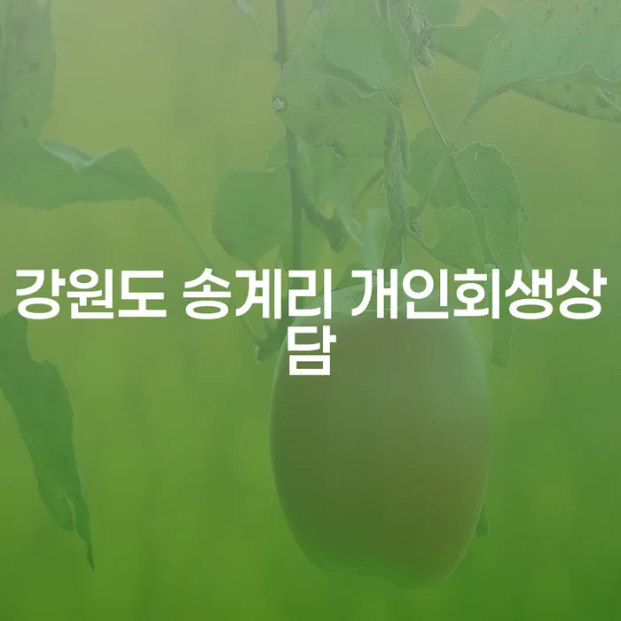 강원도 송계리에서 개인회생 상담을 통해 새로운 시작을 할 수 있을까요?