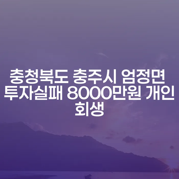 충청북도 충주시 엄정면에서 8000만원 투자실패 후 개인회생, 어떻게 해결할 수 있을까요?