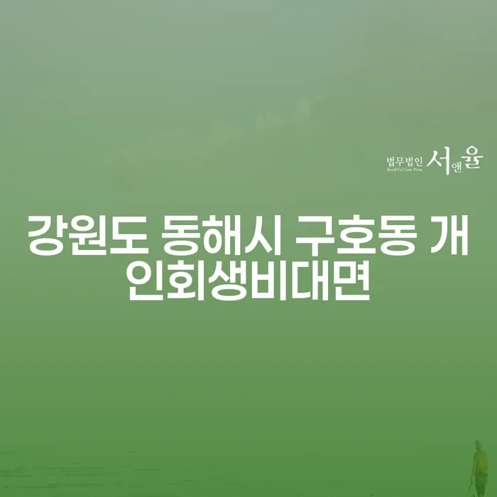 강원도 동해시 구호동에서 개인회생비대면 신청, 어떻게 해야 할까요?