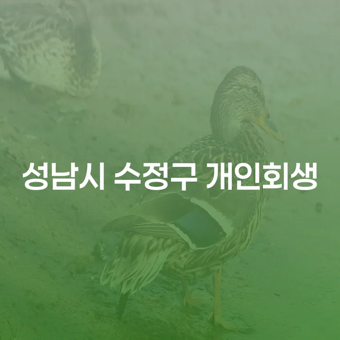 성남시 수정구에서 개인회생을 고려하고 있다면? 당신에게 필요한 정보!